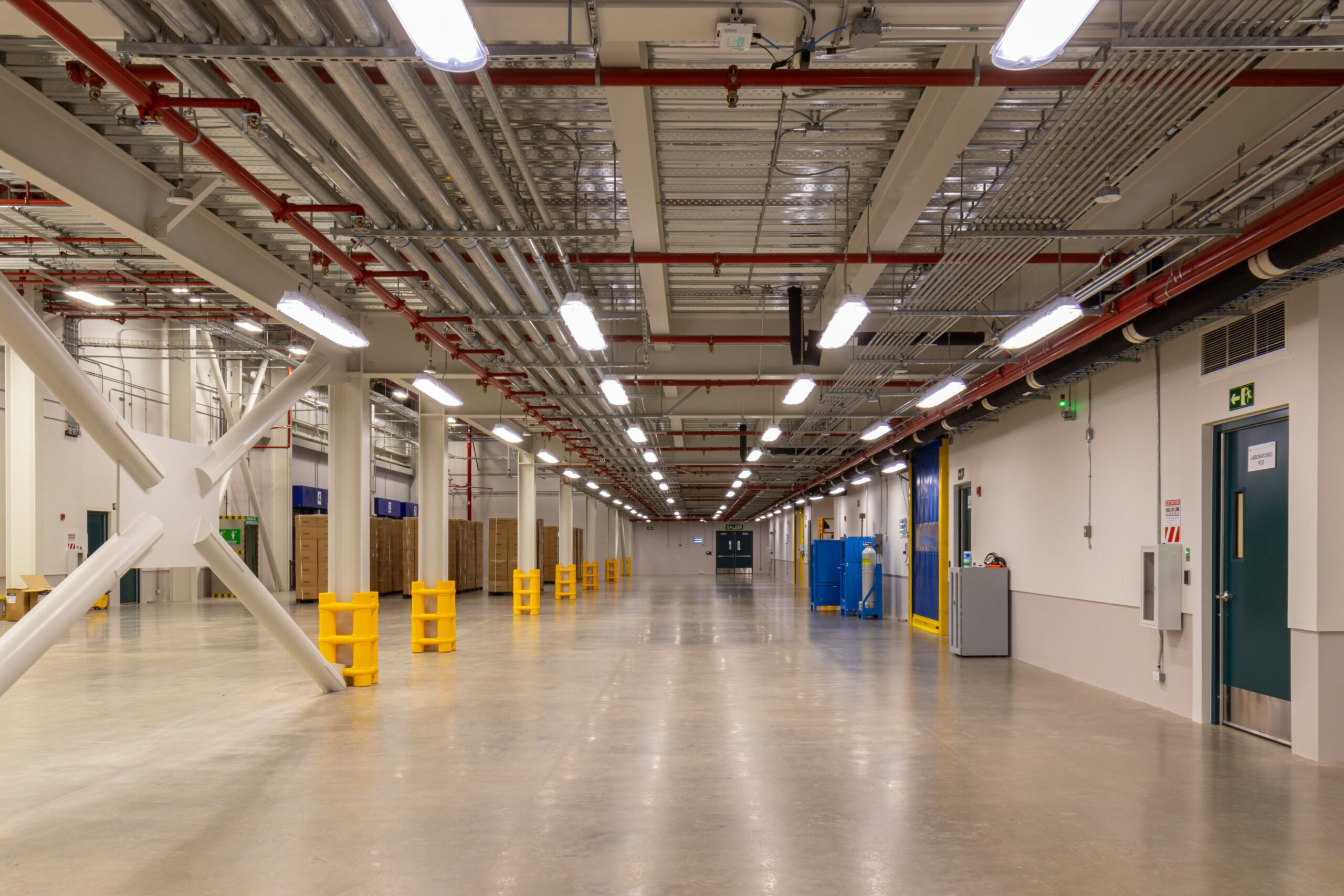 Boston Coyol