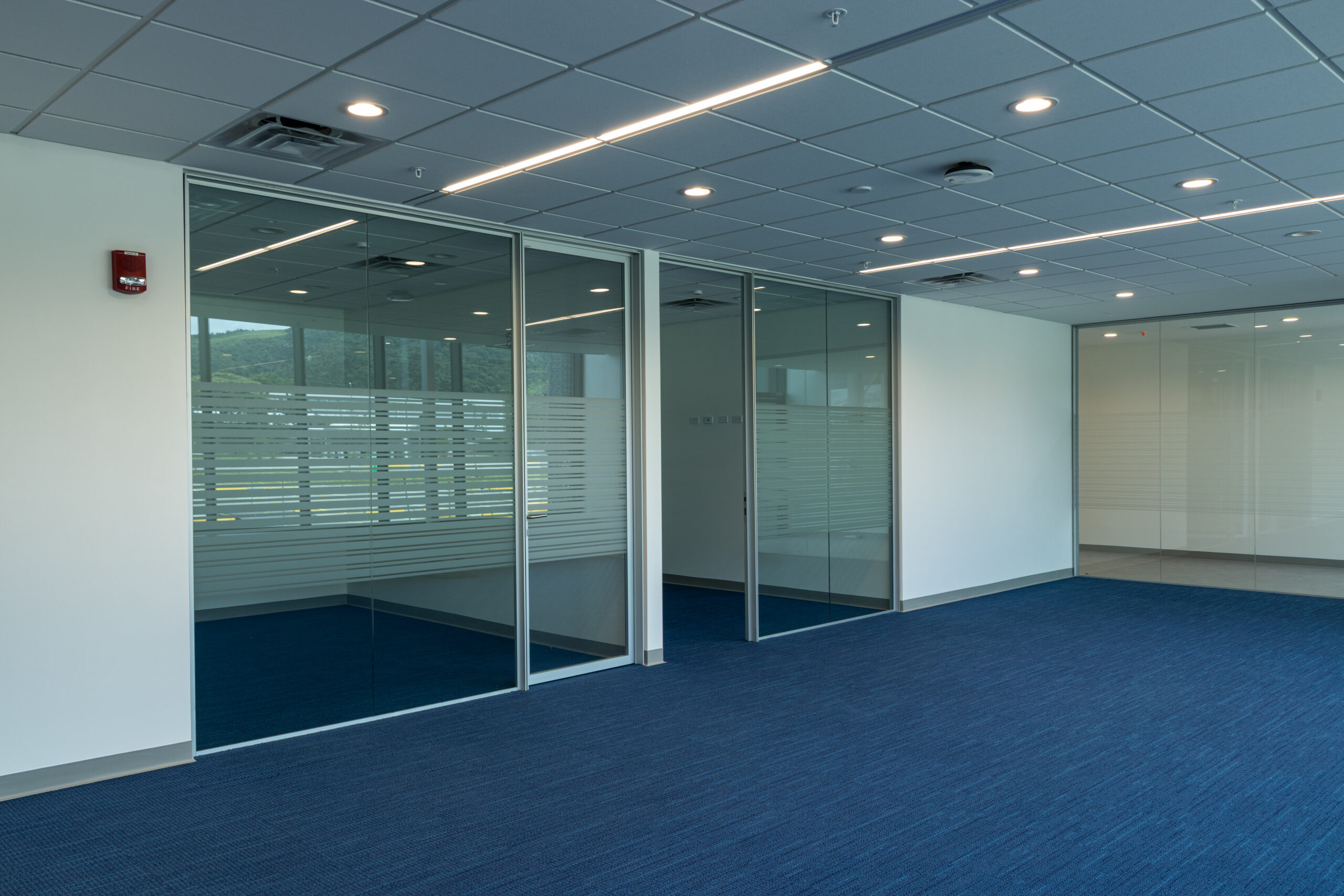 Boston Scientific Cartago